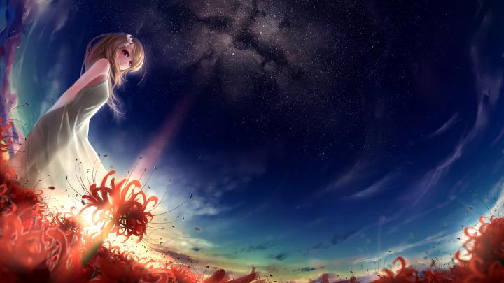anime, Flowers, Red, Stars Wallpapers HD \/ Desktop and Mobile Backgrounds