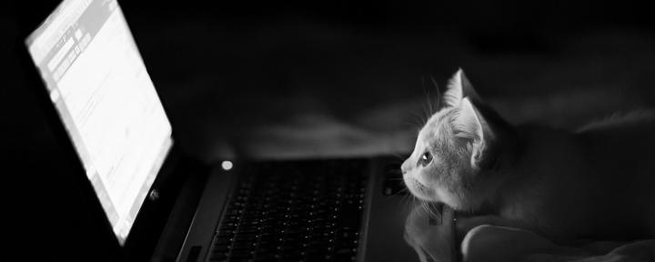 multi, Monitor, Dual, Screen, Widescreen Wallpapers HD \/ Desktop and 
