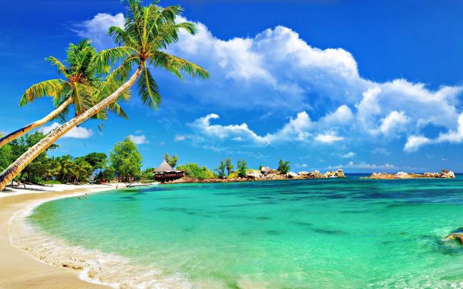 Full Screen Wallpaper \u00b7\u2460 