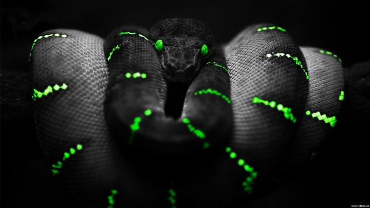 [44+] Razer Wallpaper 1920x1080 