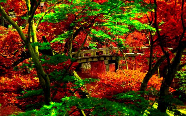 Japanese Desktop Wallpaper (70+ images)
