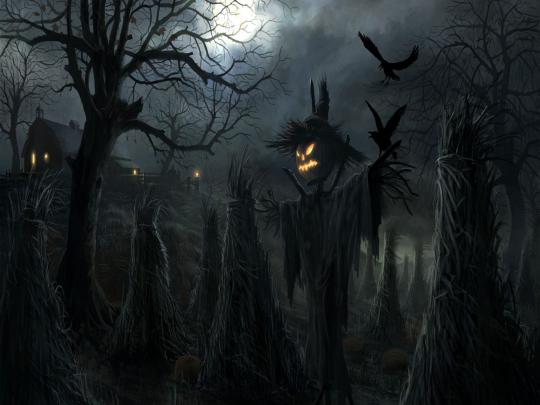 Halloween Wallpapers HD Wallpapers Backgrounds
