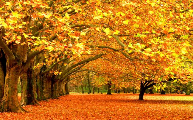 High Resolution Autumn Desktop Wallpaper