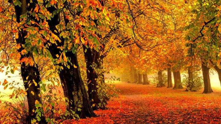 4K Autumn Wallpapers High Quality | Download Free