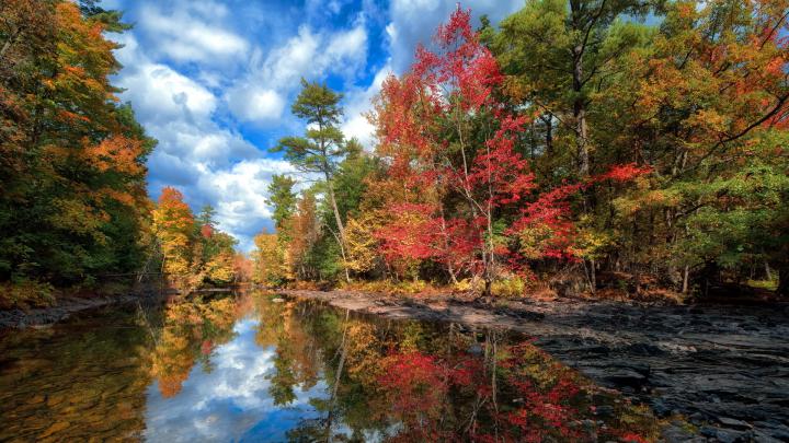 Autumn Wallpapers High Quality | Download Free
