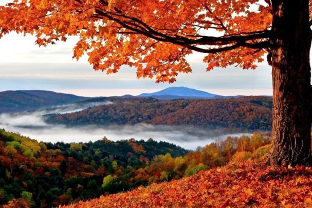 Fall wallpaper HD \u00b7\u2460 Download free wallpapers for desktop, mobile 