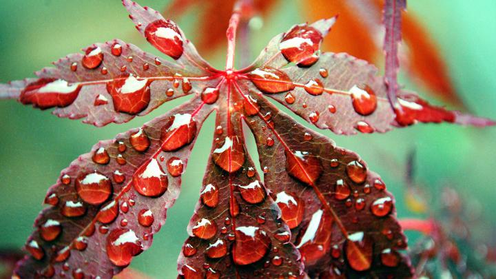 Inspirational Autumn Wallpaper in 1080p - HD Wallpapers | Wallpapers 