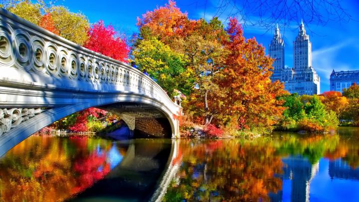 Autumn In New York Desktop Wallpaper in 1920x1080 - HD Wallpapers 