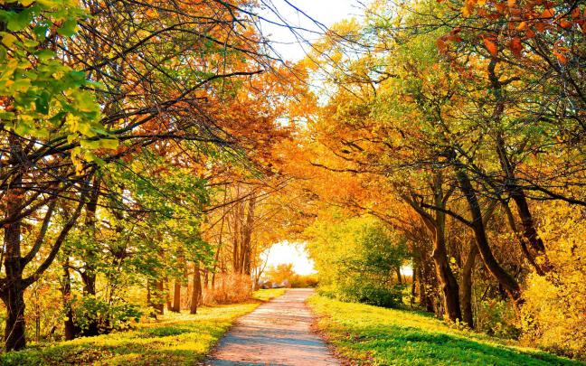 Autumn Landscape Wallpaper \u00b7\u2460 