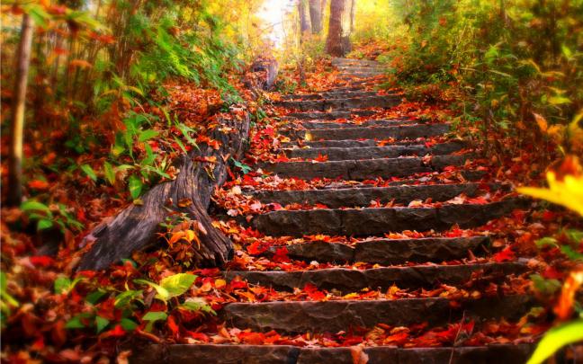 Desktop Wallpaper Autumn Scenes (41+ images)