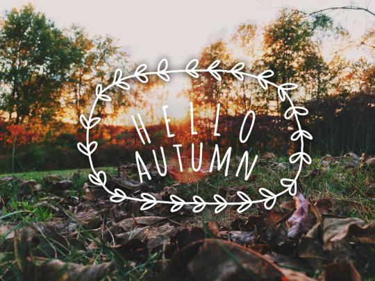 Hello Autumn Wallpapers High Quality | Download Free
