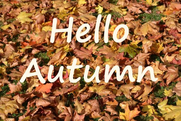 Hello Autumn Wallpapers High Quality | Download Free