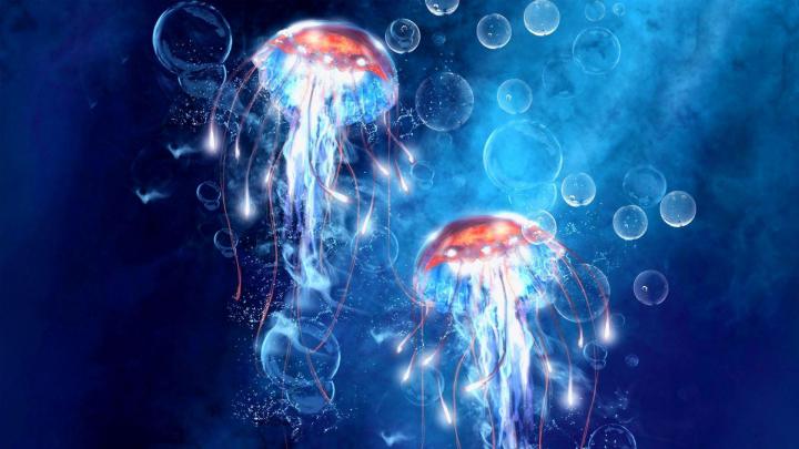 Glowing Jellyfish Wallpapers