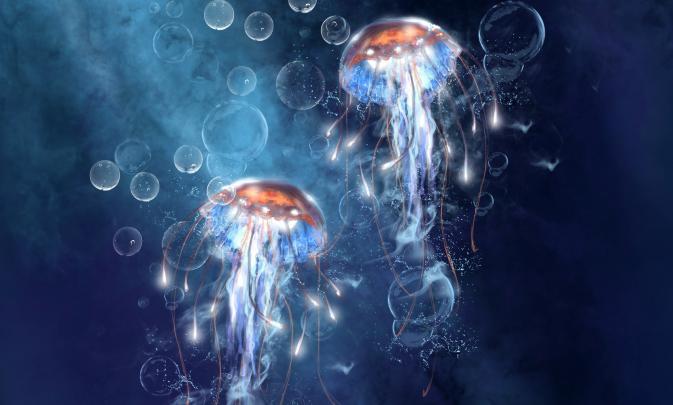 bubbles, Jellyfish, Under, Water, Art, Bubbles, Sea Wallpapers HD 