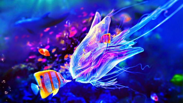 Jellyfish - HD Wallpapers | Earth Blog