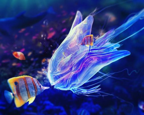 Marine Animals Sea Fish Jellyfish Ultra 3840x2160 Hd Wallpaper 