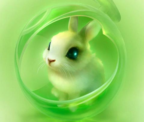 Anime Cool Bunny Rabbit Wallpapers