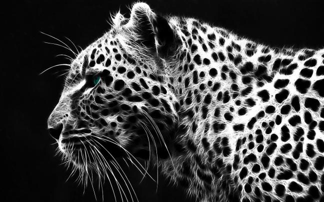 grey leopard print wallpaper - HD Desktop Wallpapers