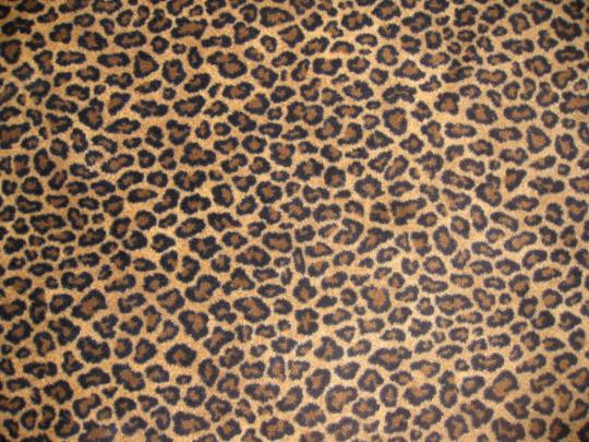 [47+] Leopard Print Wallpaper for Computer 