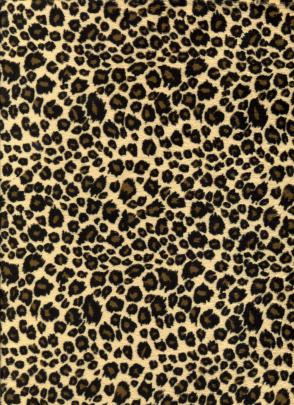 Animal Print Desktop Backgrounds \u00b7\u2460 