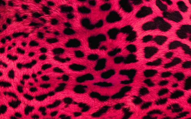 Animal Print Desktop Backgrounds \u00b7\u2460 