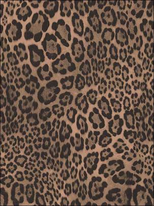 Leopard Print Wallpaper G67461 by Norwall Wallpaper