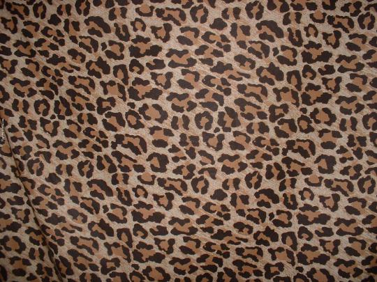 Animal Print Desktop Backgrounds