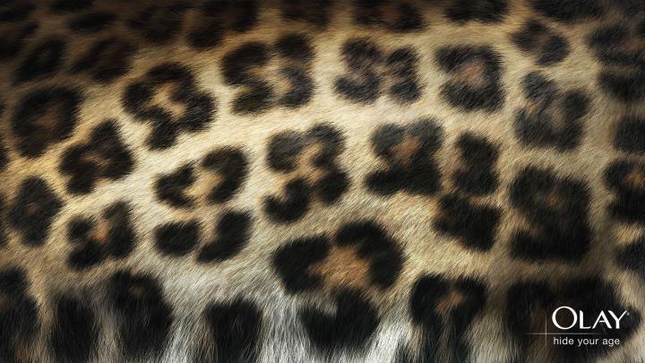 Animal Print Desktop Backgrounds \u00b7\u2460 