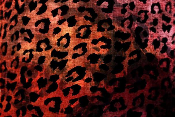 Animal Print Desktop Backgrounds