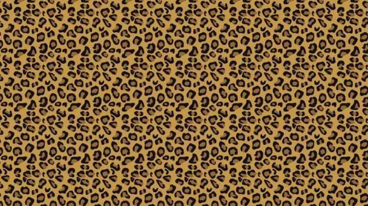 Animal Print Desktop Backgrounds