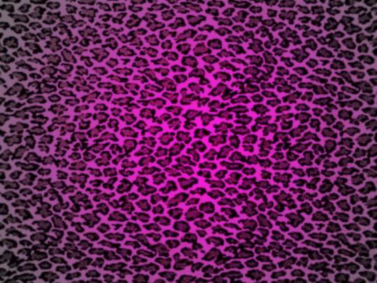 Animal Print Desktop Backgrounds