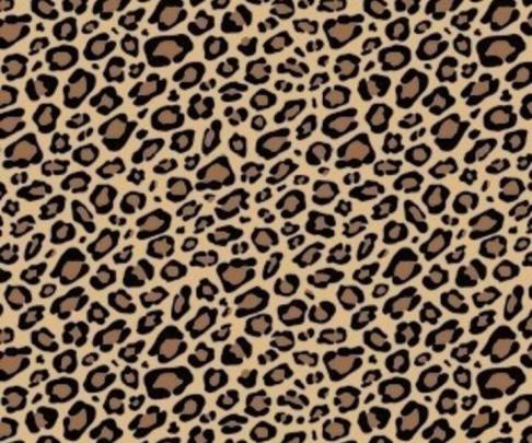 Free download leopard print [720x600] for your Desktop, Mobile \u0026 Tablet 