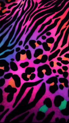 Pictures of Cheetah Print Wallpapers (64+ background pictures)