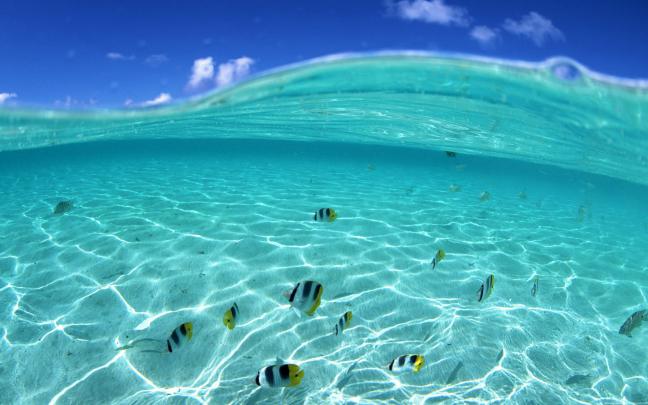 Blue Water Desktop Wallpaper -