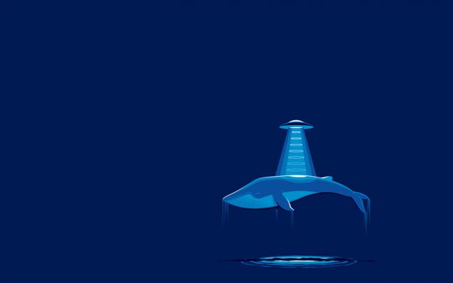 List Nation Wallpapers: 33 Minimalist Funny Wallpapers