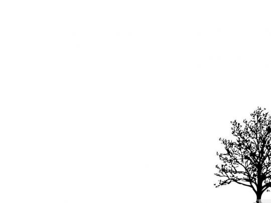Minimalist Tree HD Desktop Wallpapers : High Definition  Desktop 