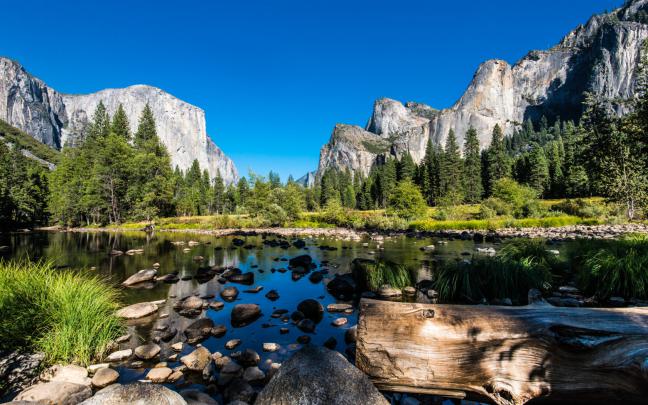 Summer In Yosemite National Park In California\u0026#39;s Sierra Nevada 