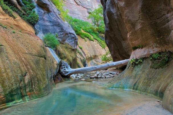 landscape, Nature, Zion National Park Wallpapers HD \/ Desktop and 