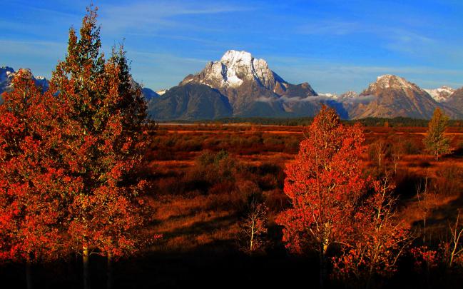 grand, Teton, National, Park, Usa, Wyoming, Autumn, Mountains 