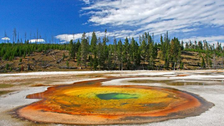 Yellowstone National Park Wallpapers