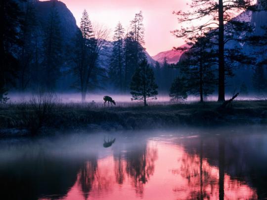 Stock Photos: Yosemite National Park Pictures and Wallpapers For Desktop