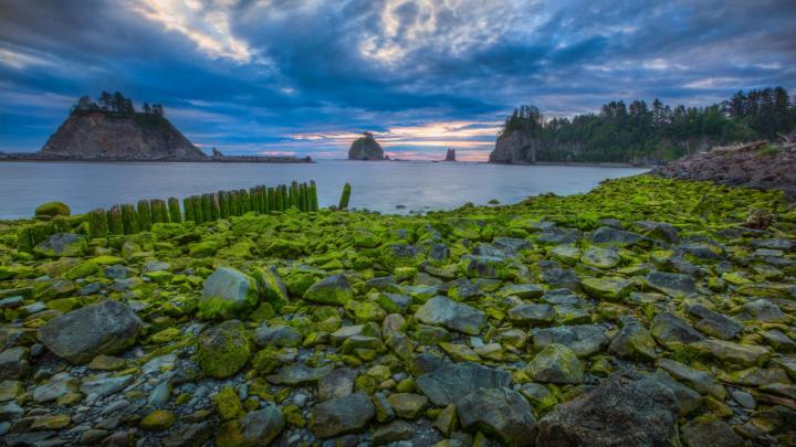 nature, Landscape, Water, Trees, Clouds, USA, Rock, Stones, Moss 