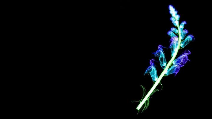 Neon Desktop Backgrounds