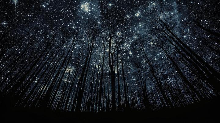 Free Desktop Starry Night Wallpaper