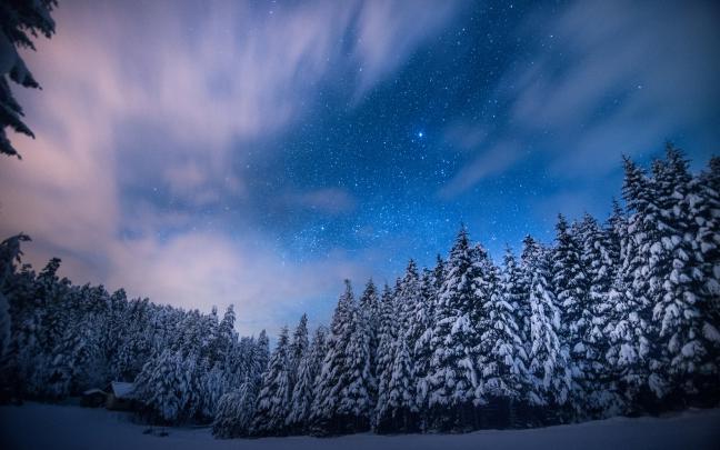 trees, Stars, Night, Snow, Winter, Forest, Sky, Clouds, Landscapes 