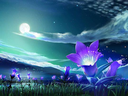 Desktop wallpapers: Night sky wallpapers free download