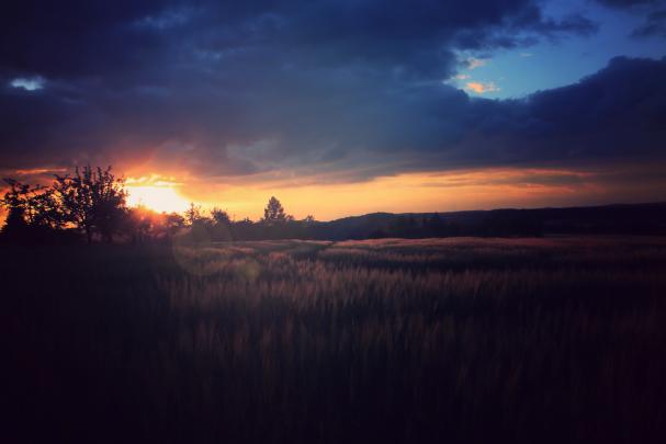 sunset, Nature, Night Wallpapers HD \/ Desktop and Mobile Backgrounds