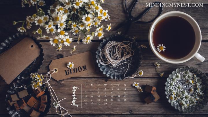 2019 Desktop \u0026 Device Calendars - minding my nest