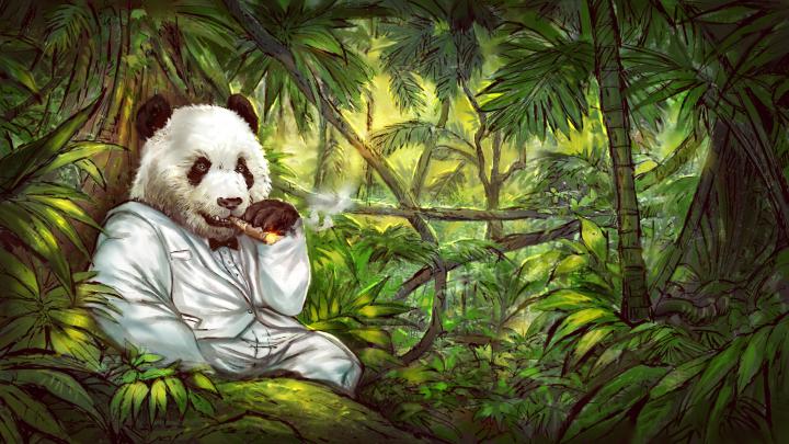 panda jungles cigars tuxedo Wallpapers HD \/ Desktop and Mobile Backgrounds