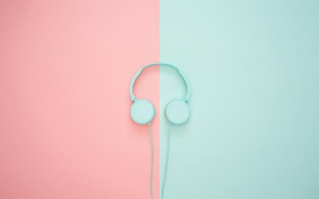 Cactus Minimal Hd Wallpaper - Pastel Minimalist Wallpaper Desktop 
